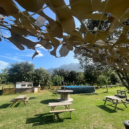 La De Mercone Goria * Корт